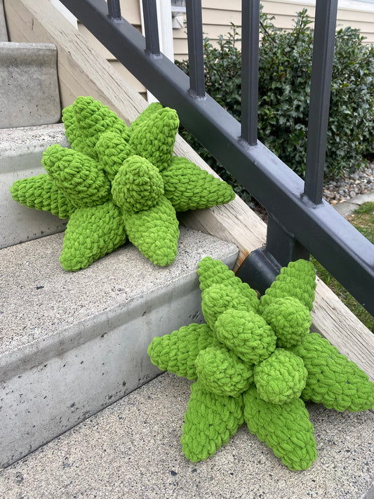 Set of Two Crochet Succulent Pillows