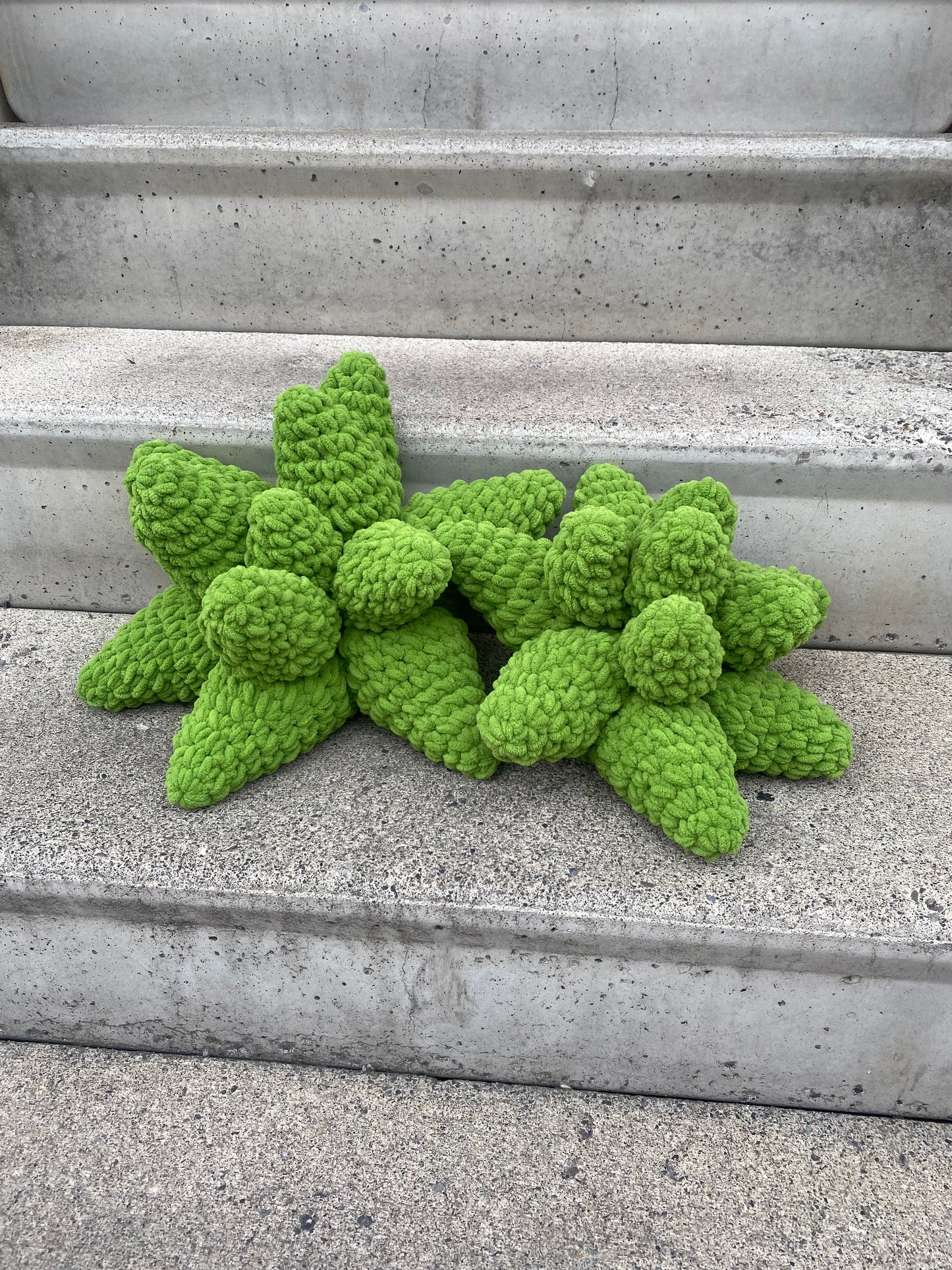 Set of Two Crochet Succulent Pillows