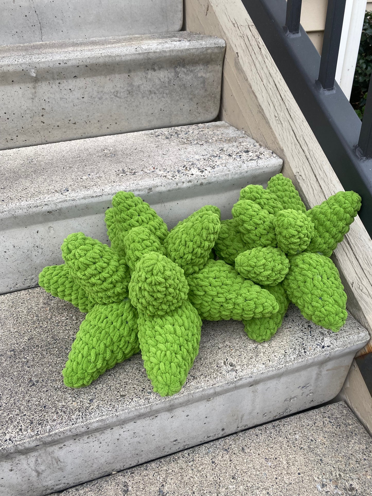 Set of Two Crochet Succulent Pillows